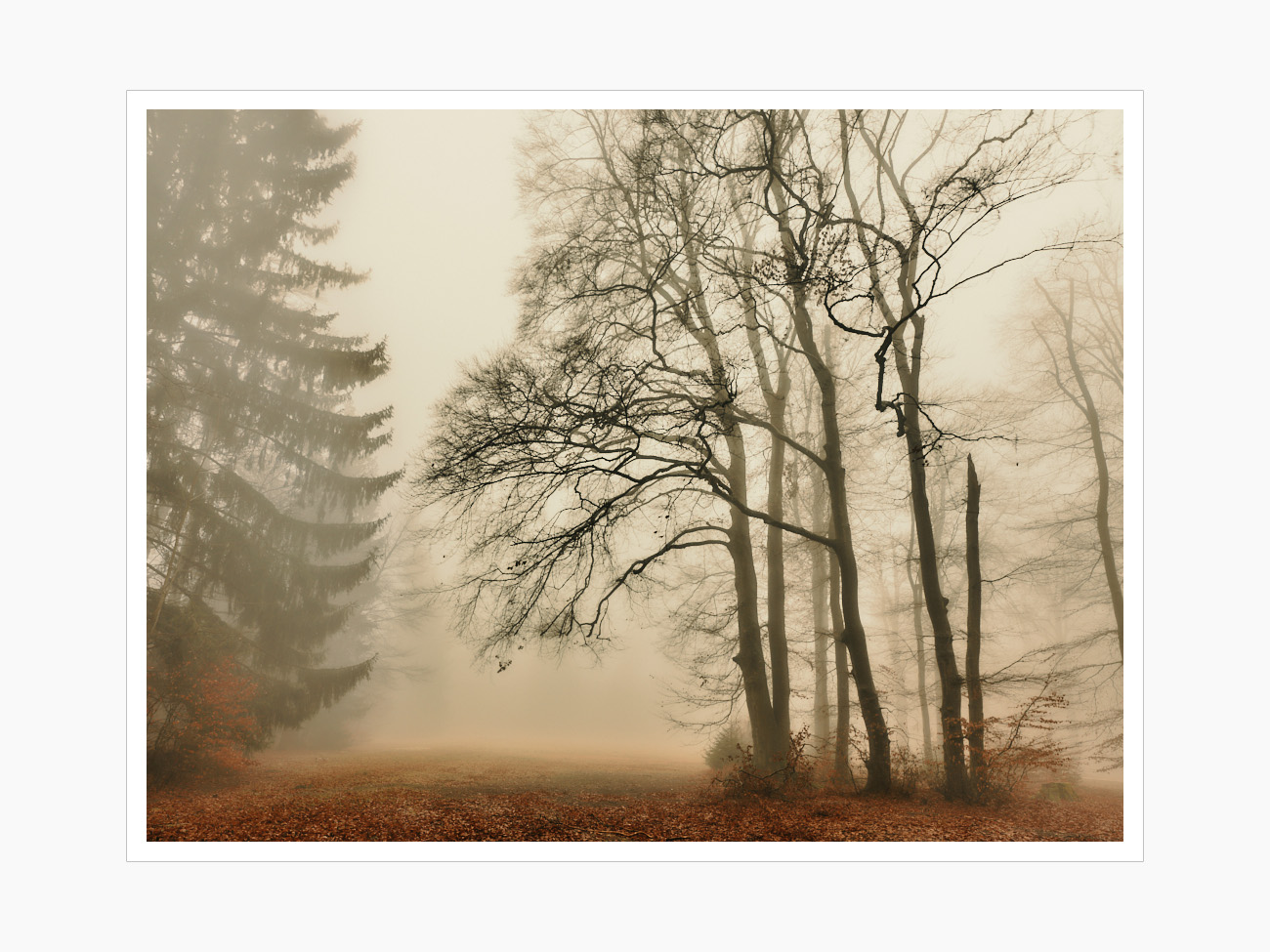 Max Schiefele Alle Bilder  DSF3847